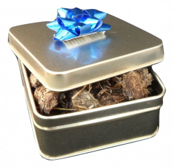 Geef een Lesje - Straf overtredingen, straf je vijanden, verman de goeden, doe je goed 