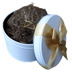 Elefantenmist schenken - Natürlich rächen mit freundlichen, duftigen Grüßen vom Misthaufen 